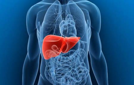 Liver Cancer Screening