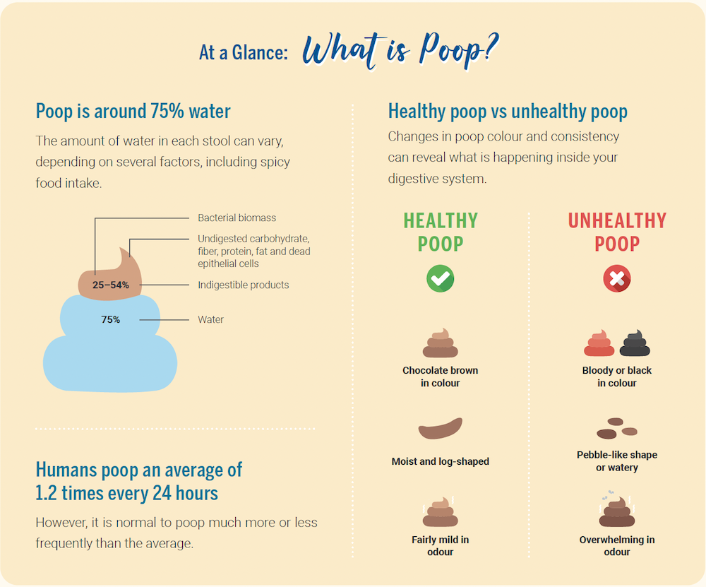 5 Things You Need To Know About Your Poop