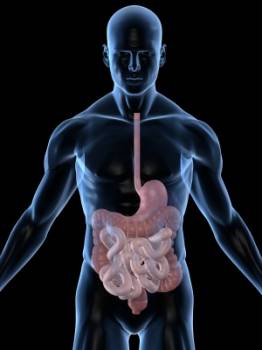 Gastroenterologists specialize in conditions of the gastroenterological tract